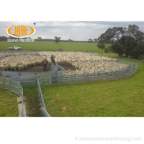 Panneaux de clôture de mouton de la cour de bétail galvanisé